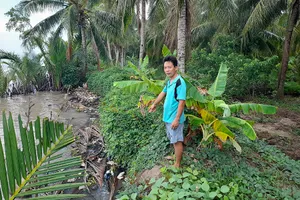 Người dân lo lắng việc khai thác cát sẽ tiếp tục gây sạt lở.