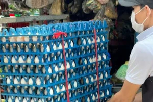 Trứng tồn kho tại cơ sở kinh doanh của bà Thu rất nhiều.