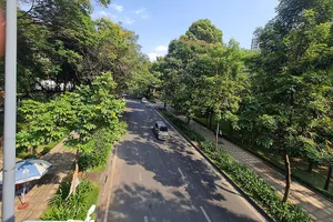 TP.HCM đang thúc đẩy phát triển công viên, mảng xanh công cộng trên địa bàn TP. Trong ảnh: Đường Phan Thúc Duyện (khu vực Công viên Hoàng Văn Thụ), quận Tân Bình. 