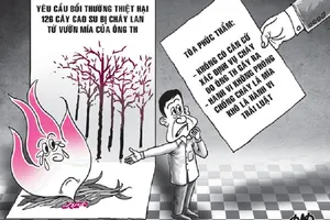 Kiện chủ vườn mía đòi bồi thường 126 cây cao su