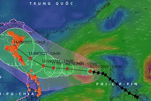 Đường đi của bão số 5.