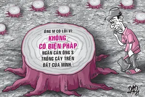 Bị kiện vì chặt cây người khác trồng trên đất của mình