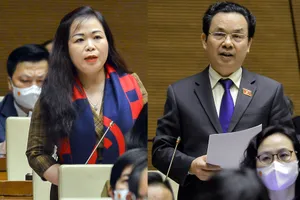 Đại biểu Quốc hội Vũ Thị Lưu Mai và Hoàng Văn Cường phát biểu tại phiên thảo luận ở hội trường về kinh tế - xã hội.