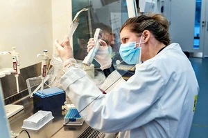 Chuyên gia làm việc trong một phòng thí nghiệm dịch tễ thuộc ĐH Cambridge (Anh) hồi tháng 6.