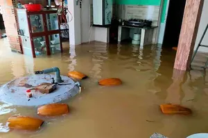 Nhiều căn nhà ở Bình Định bị ngập sâu trong lũ.