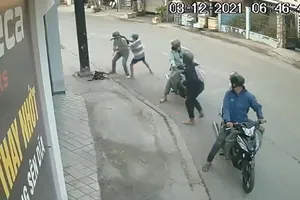 Bốn thanh niên trộm chó ở phường Thới An, quận 12, TP.HCM vào sáng 3-12.