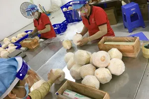 Nhờ Hiệp định RCEP, nhiều mặt hàng như nông sản, dệt may, đồ gỗ… có thể gia tăng xuất khẩu.