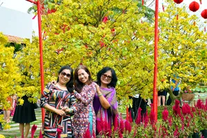 Đường hoa mai tại làng hoa Sa Đéc.