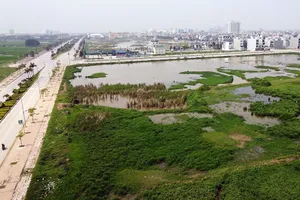 Dự án khu dân cư dọc hai bên đường dự án CSEDP thuộc khu đô thị Đông Sơn, TP Thanh Hóa được đấu giá 8 triệu đồng/m2. Tuy nhiên, sau ba tháng đấu giá được cò thổi giá lên 50 triệu đồng/m2.