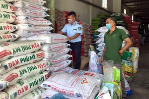 Các cơ quan chức năng đang tăng cường kiểm tra, giám sát để tránh tình trạng trục lợi từ phân bón. Trong ảnh: Lực lượng quản lý thị trường kiểm tra một cơ sở kinh doanh phân bón tại Gia Lai.