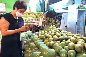 Việc tăng các loại trái cây được xuất khẩu chính ngạch là hướng đi bền vững của ngành hàng trái cây Việt Nam.