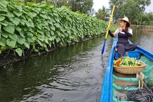 Các dự án nông trại mini ngoại thành đang rất được khách hàng quan tâm, coi như một lựa chọn vừa để nghỉ dưỡng vừa để dành sinh lời.