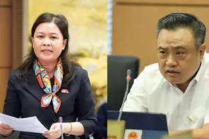 Phó Chủ nhiệm Ủy ban Pháp luật Nguyễn Phương Thủy và Chủ tịch UBND TP Hà Nội Trần Sỹ Thanh nêu ý kiến về vấn đề quản lý biển số xe sau đấu giá tại phiên thảo luận tổ. 