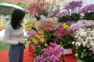 Khách hàng chọn mua hoa lan dịp tết 2023.