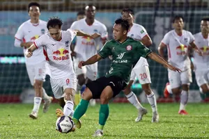 Hình ảnh HA Gia Lai với nhà tài trợ Red Bull sử dụng nhiều mùa qua cũng là nước tăng lực nhưng không vi phạm vì hợp đồng được ký kết trước khi Night Wolf đến với V-League.