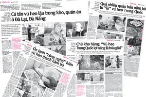 Những bài báo được đăng tải trong tuần về tình trạng vú heo trôi nổi thành nầm bò quán nhậu của Pháp Luật TP.HCM.