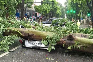 Bão số 1 đè bẹp ô tô, thổi ngã xe máy tại Hà Nội