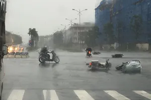 Một người chết, 5 người bị thương do bão số 1