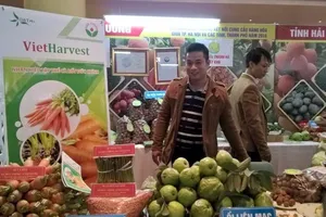 Hà Nội là thị trường bán lẻ nổi bật của thế giới