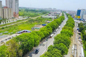 Hà Nội: Bất khả kháng mới chặt cây đường Phạm Văn Đồng