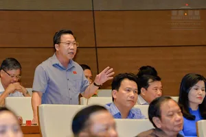 ĐBQH vạch 3 yếu kém của Thanh tra Chính phủ