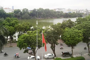 Chủ tịch Hà Nội: Không có chuyện thay cây xanh Hồ Gươm