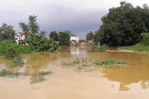 Hà Nội: Vỡ đê, nhiều nơi chìm trong nước