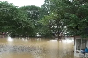 Hà Nội: Lũ sông Hồng cao nhất trong 10 năm qua