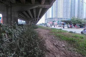 Hà Nội đề xuất đỗ xe gầm cầu, xén dải phân cách