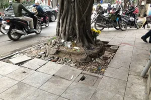 Sai phạm lát đá vỉa hè: Hàng loạt cán bộ bị xử lý