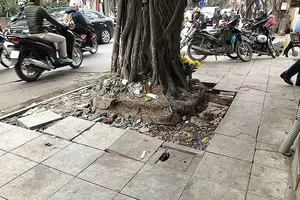 Sai phạm nhiều, Hà Nội phải ra quy chuẩn lát đá vỉa hè