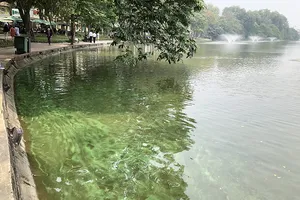 Tạo màu xanh cho nước hồ Gươm 