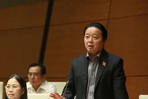 'Đất đai chưa được tính đúng giá trị khi cổ phần hóa'