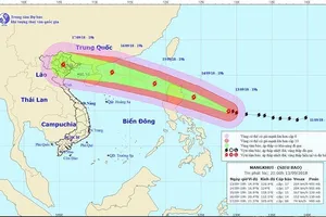 Siêu bão Mangkhut sẽ gây mưa to ở Bắc bộ và Bắc Trung bộ