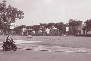 Bộ Tư pháp 'tuýt còi' Đà Nẵng vì 'ngâm' đất trúng đấu giá