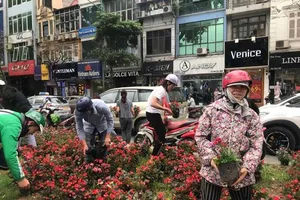 Sẽ truy vụ người dân 'hôi hoa' trang trí trên phố Kim Mã