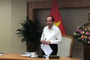 Sẽ cấp đổi bằng lái xe trực tuyến vào tháng 11-2019