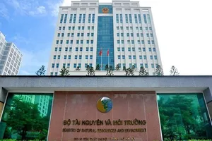 Bộ TN&MT nói gì về việc bổ nhiệm 98 cán bộ không đủ tiêu chuẩn