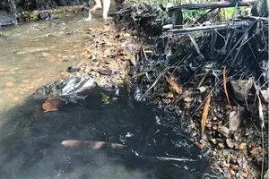 Chủ tịch Hà Nội: Nước ăn của dân nhiễm dầu thải