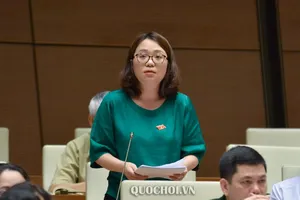 Đại biểu Quốc hội: Đòi nợ thuê đang đe dọa tính mạng người dân