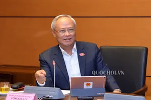 Đại biểu băn khoăn: Chuyển Bộ Công an cấp bằng lái có ổn