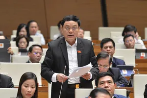 ĐBQH không đồng ý để Bộ Công an cấp giấy phép lái xe