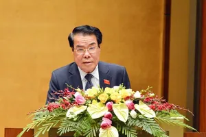 Ông Dương Thanh Bình, Trưởng ban dân nguyện của Quốc hội.