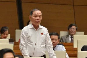 ĐBQH Lê Thanh Vân (Cà Mau). Ảnh: TP