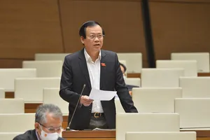 Đại biểu lo người Trung Quốc núp bóng thâu tóm đất vùng biên giới, ven biển