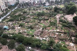 Hai bộ ra kế hoạch thanh tra diện rộng về đất đai, xây dựng