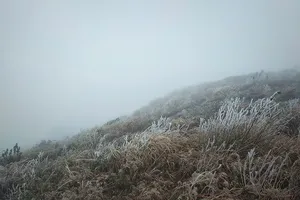 Bắc và Bắc Trung Bộ rơi vào đợt lạnh khắc nghiệt nhất mùa Xuân