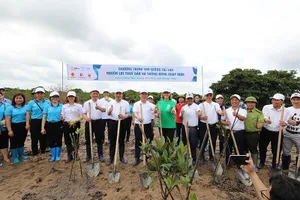 Bộ trưởng TN&MT Trần Hồng Hà trồng cây tại rừng ngập mặn Đồng Rui, Tiên Yên, Quảng Ninh