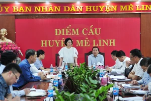 Giám đốc Sở Y tế Trần Thị Nhị Hà