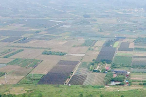 Hà Nội khai tử hai dự án trên giấy, giải phóng quỹ đất gần 200 ha